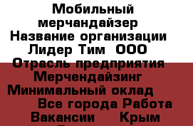 Мобильный мерчандайзер › Название организации ­ Лидер Тим, ООО › Отрасль предприятия ­ Мерчендайзинг › Минимальный оклад ­ 23 000 - Все города Работа » Вакансии   . Крым,Евпатория